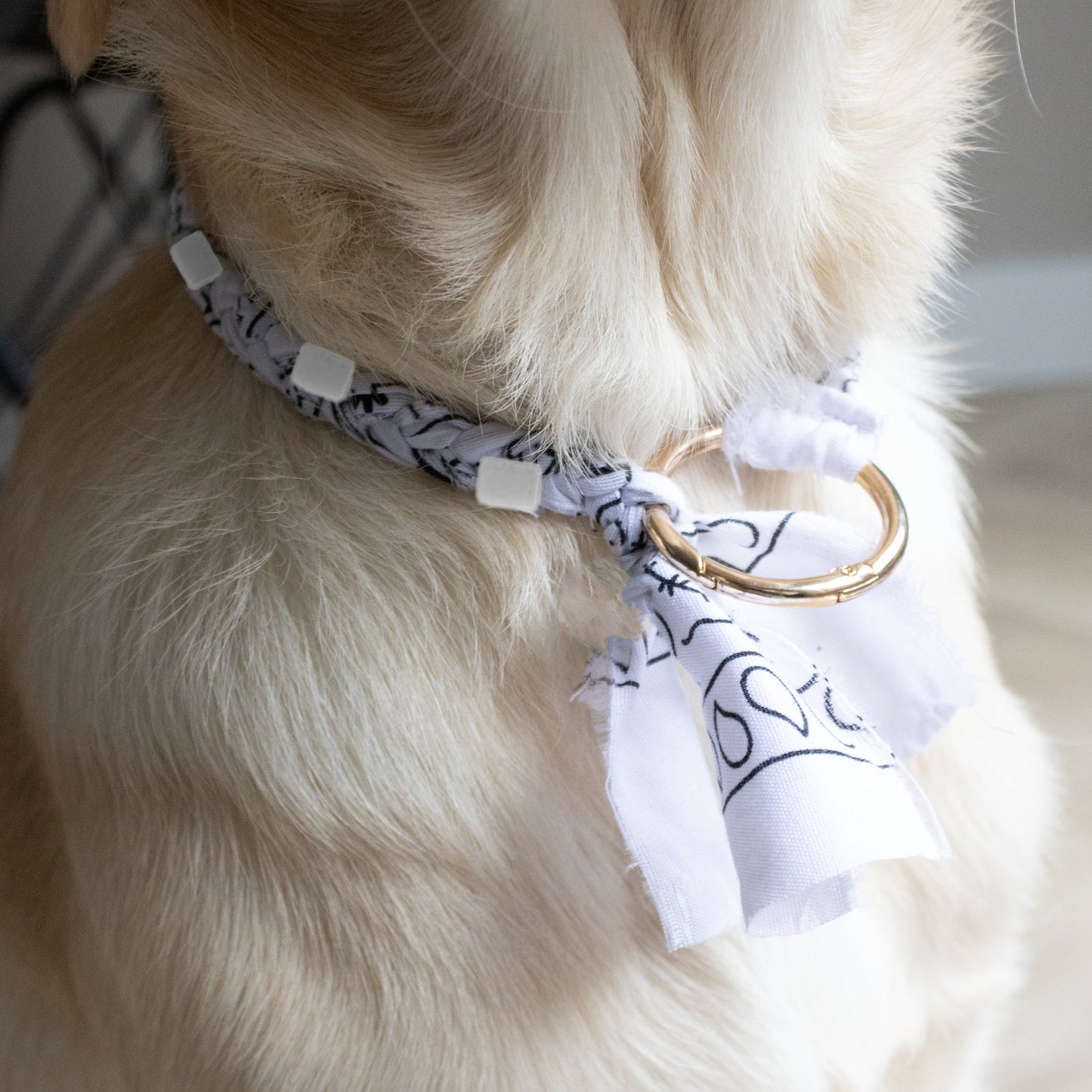 BANDANA INITIAL COLLAR WHITE/GOLD