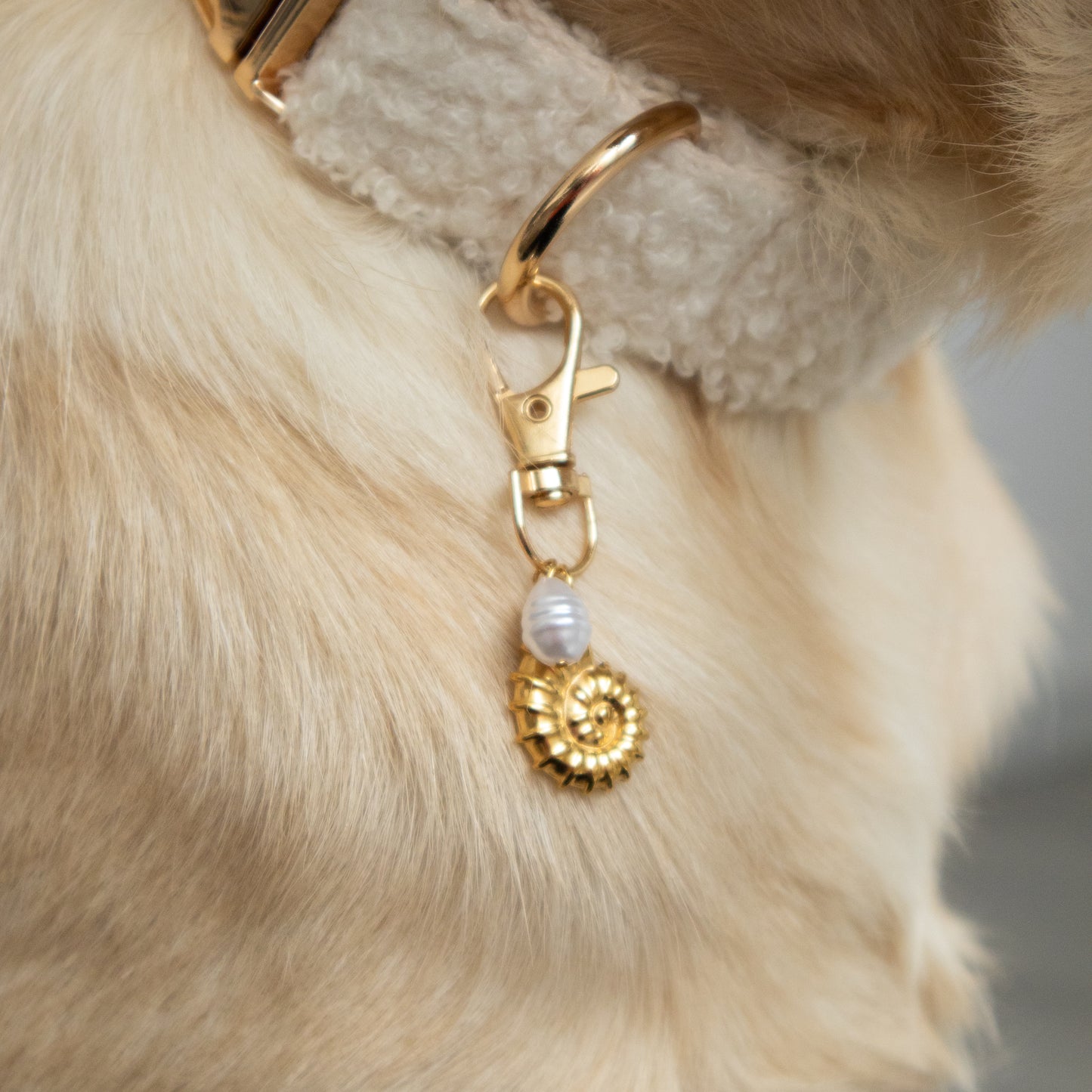 SHELL PEARL CHARM GOUD
