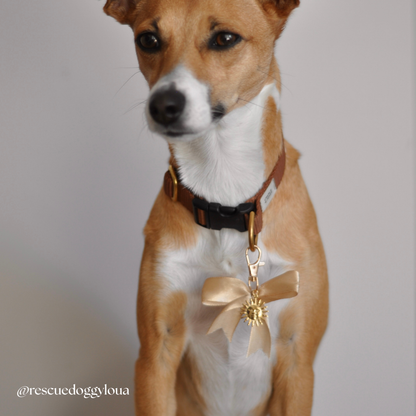 Sunny Bow Charm - Gold/Beige