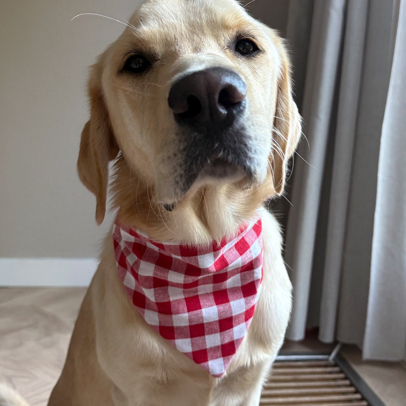 SLIDE-ON BANDANA GEBLOKT - ROOD/WIT