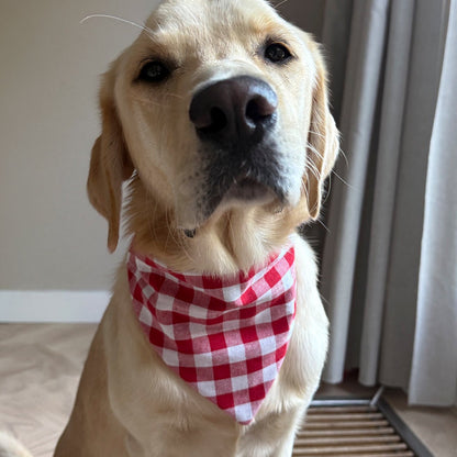 SLIDE-ON BANDANA GEBLOKT - ROOD/WIT