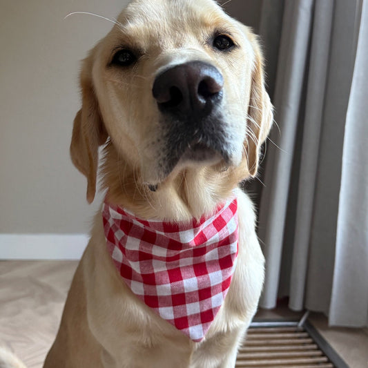 SLIDE-ON BANDANA GEBLOKT - ROOD/WIT