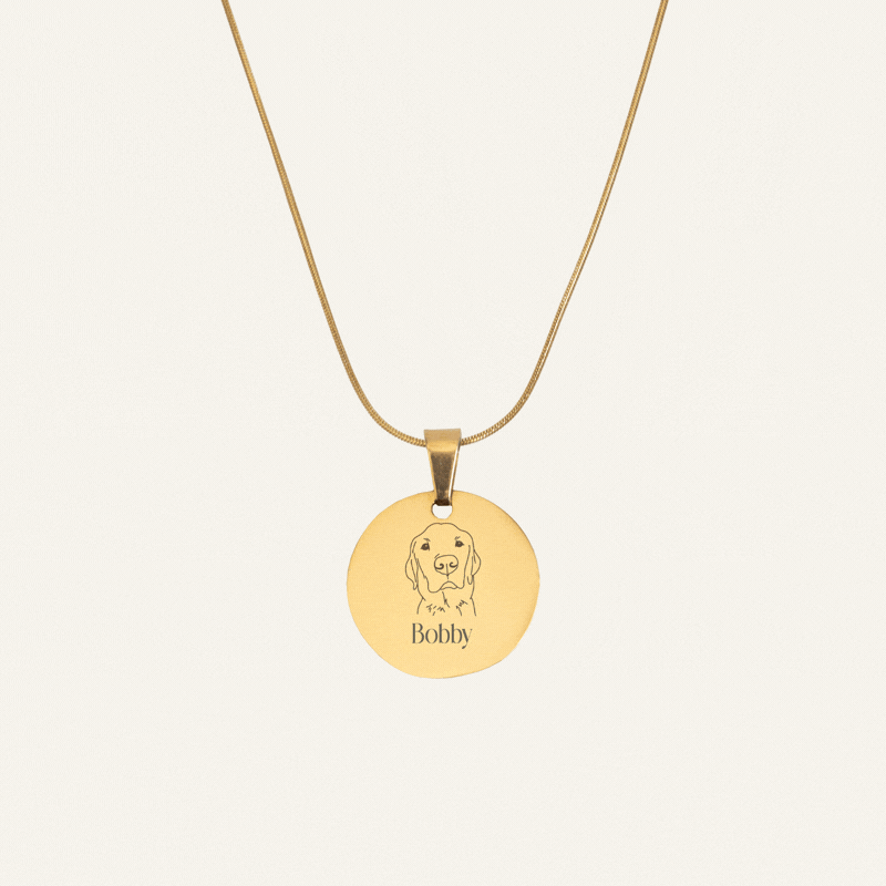 ENGRAVED NECKLACE WITH ILLUSTRATION #1 - GOLD