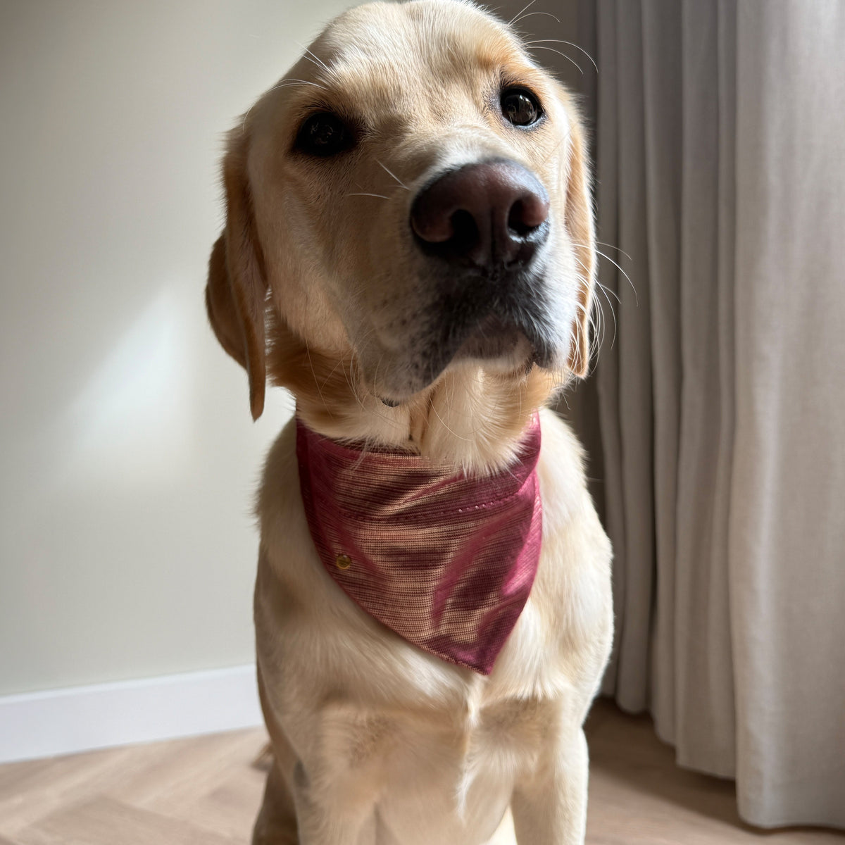SLIDE-ON BANDANA METALLIC STRIPES - BORDEAUX