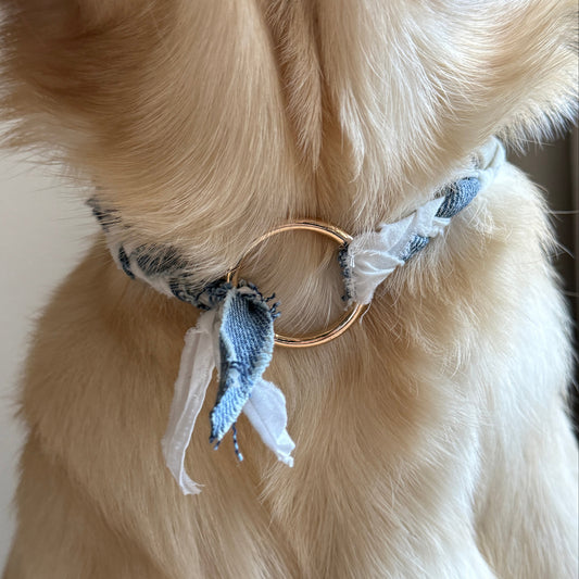 BANDANA EM-X COLLAR - WHITE/GOLD