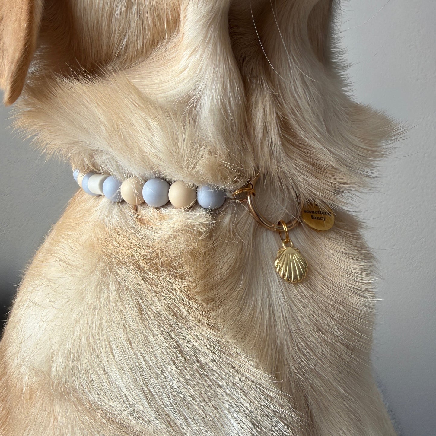 BEADS ANTI-TEKEN HONDENKETTING - BLAUW/GOUD