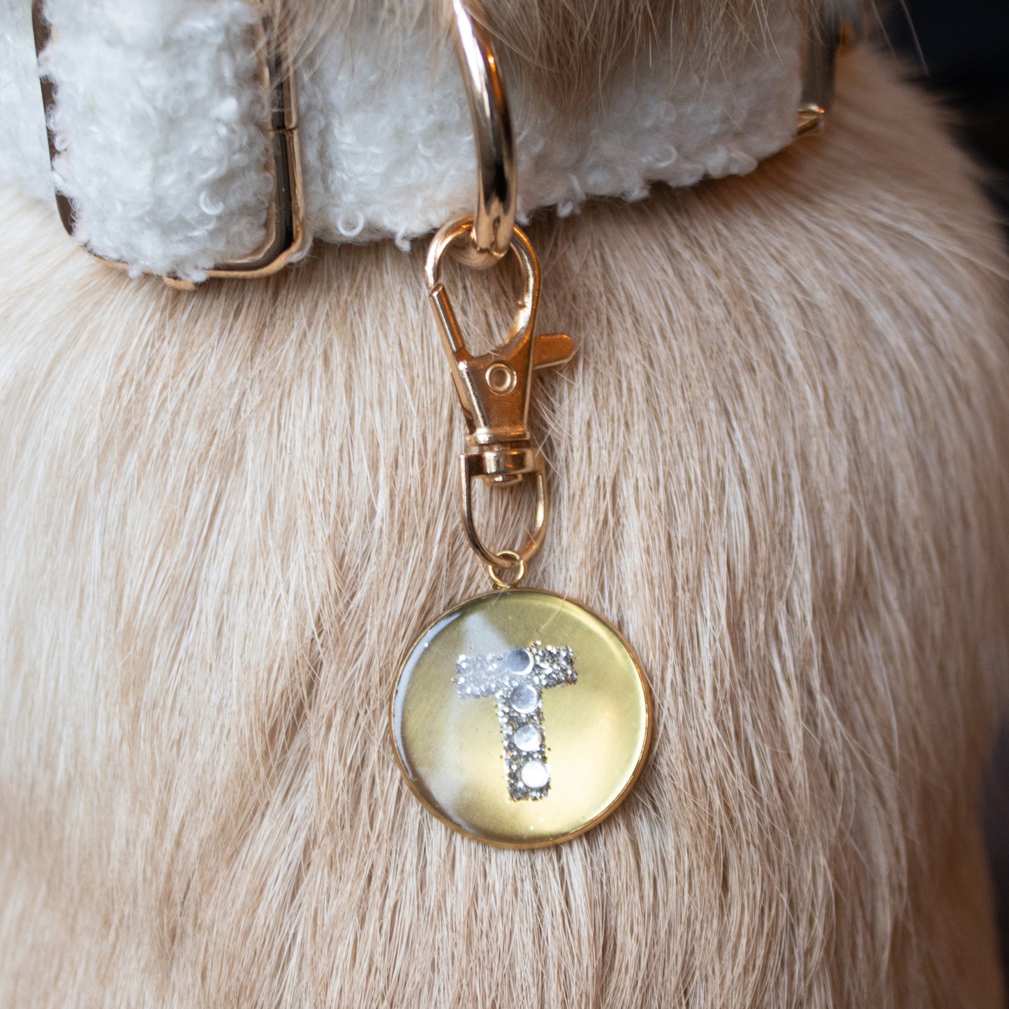 ROUND INITIAL COLLAR TAG GOUD