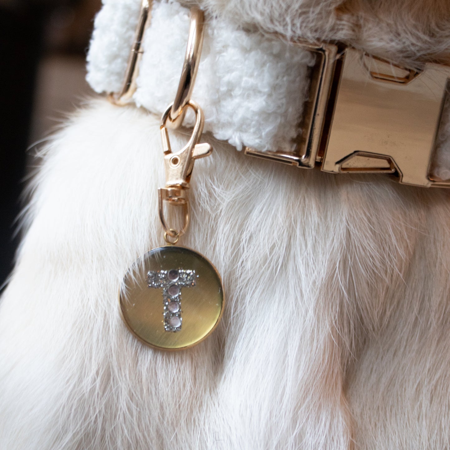 ROUND INITIAL CHARM - GOUD