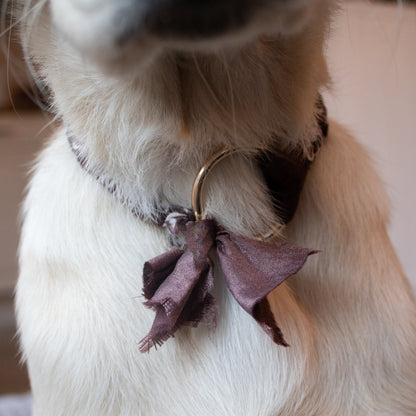 BANDANA ANTI-TICK COLLAR - DARK BROWN/GOLD