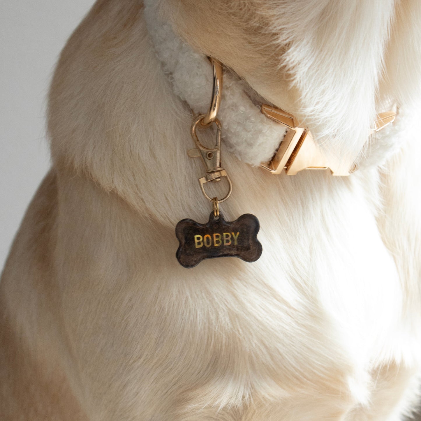 Custom Bone Name Tag - Brown