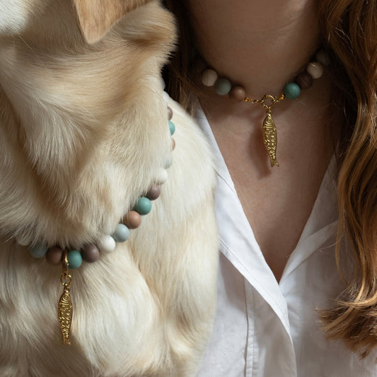 DOG & HUMOM SET - GOUD/BLAUW