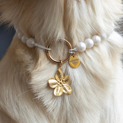 PEARL DOG NECKLACE - WHITE/GOLD