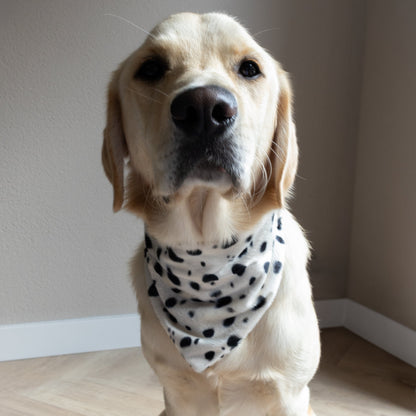 SLIDE-ON BANDANA FLUFFY DOTS - WIT/ZWART