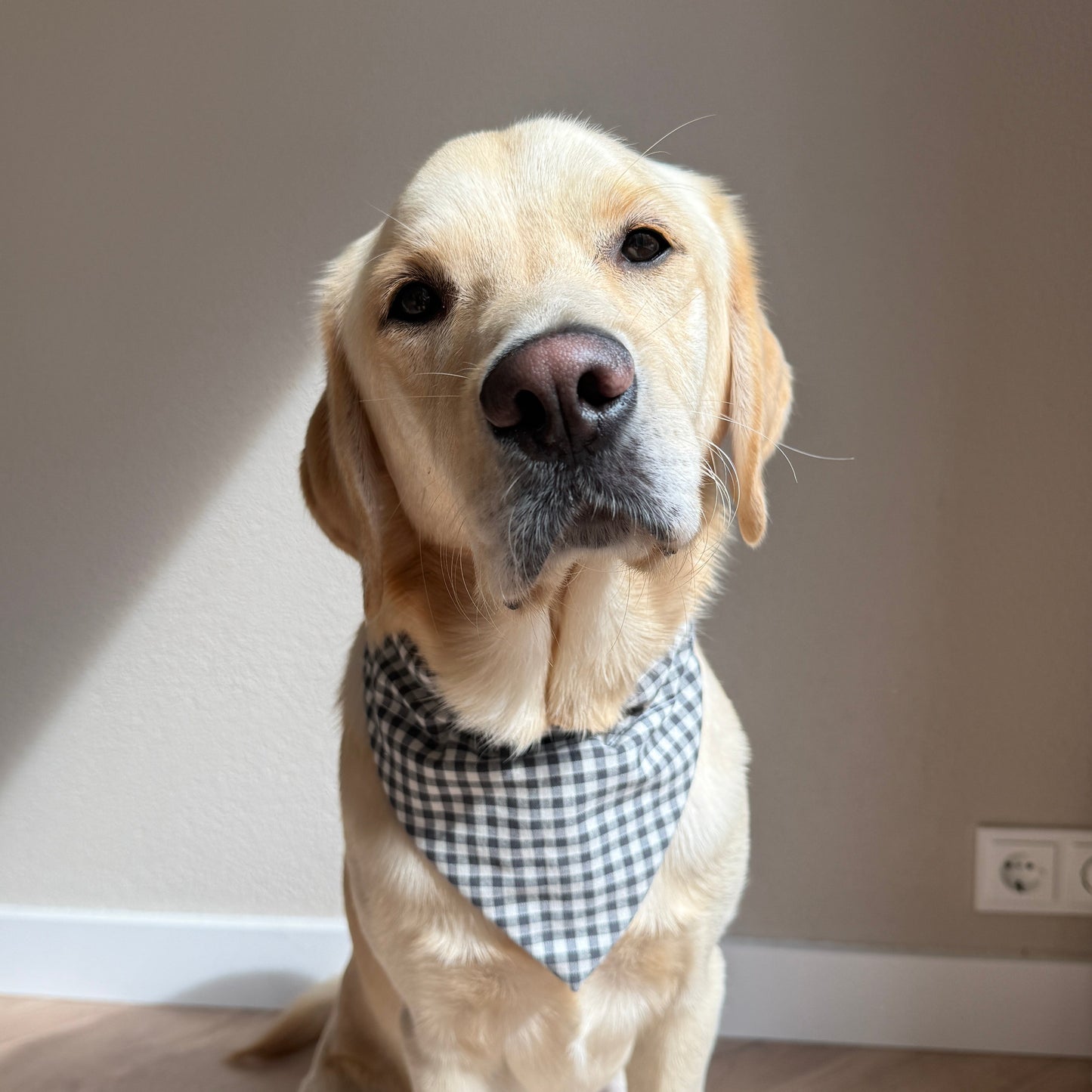 SLIDE-ON BANDANA GEBLOKT - GRIJS/WIT