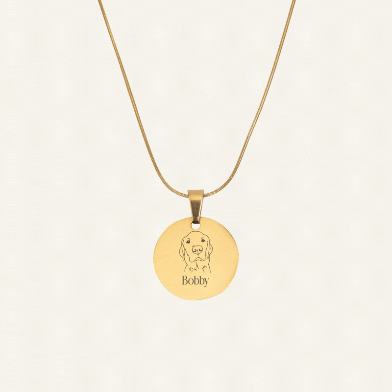 ENGRAVED NECKLACE WITH ILLUSTRATION #1 - GOLD