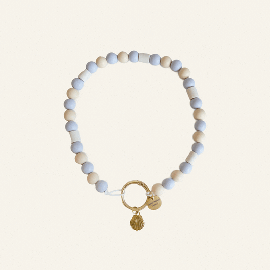 BEADS ANTI-TEKEN HONDENKETTING