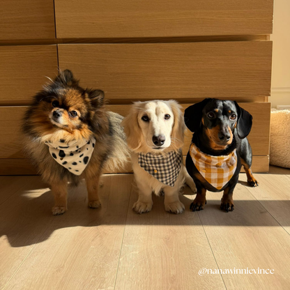 SLIDE-ON BANDANA FLUFFY DOTS - WIT/ZWART