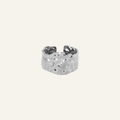 TERRA RING - ZILVER