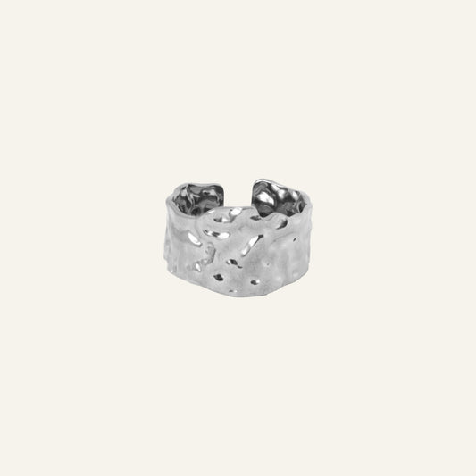 TERRA RING ZILVER